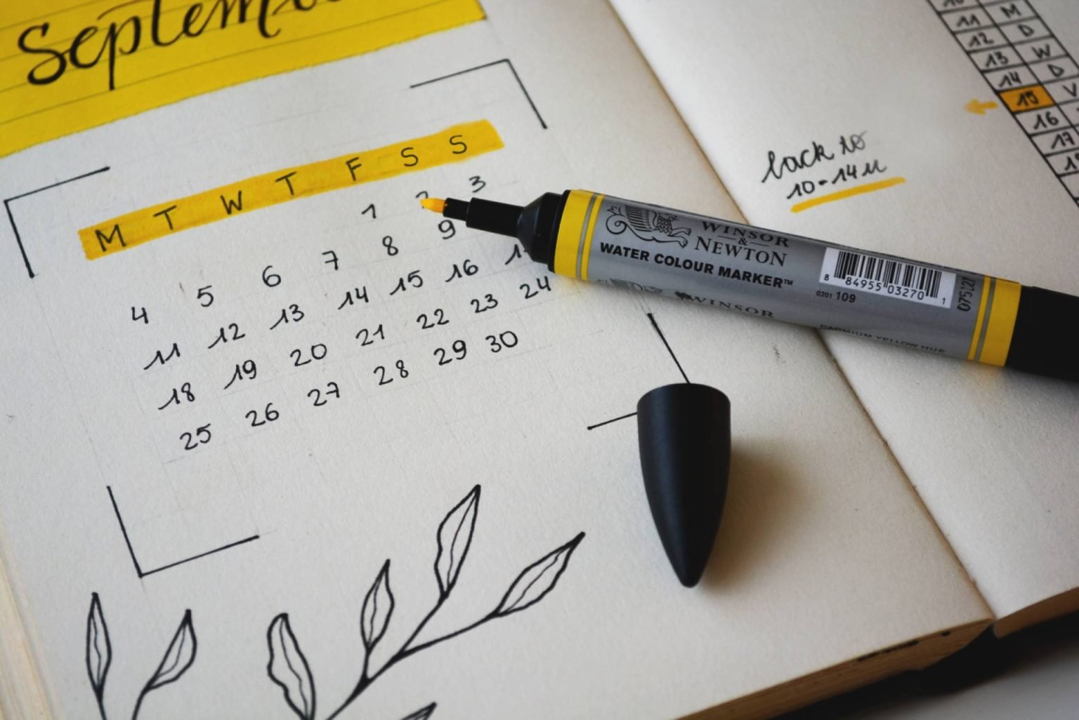 The 9 things I learned on my Enneagram journey in 2023